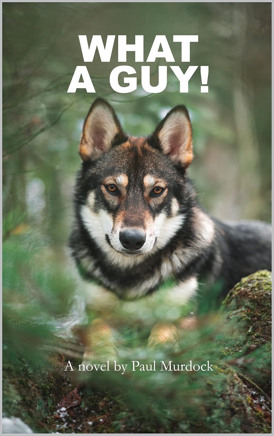 What A Guy!, Paul Murdock · Fiction